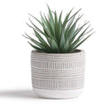 Faux Succulent in Ceramic Pot